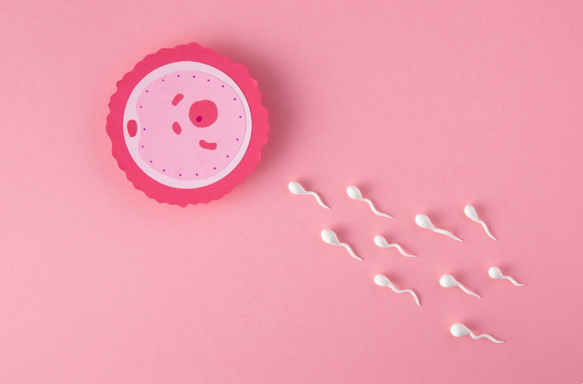 Infertility factors affected on men and women, such as endometriosis, uterine fibroids, and weak sperm