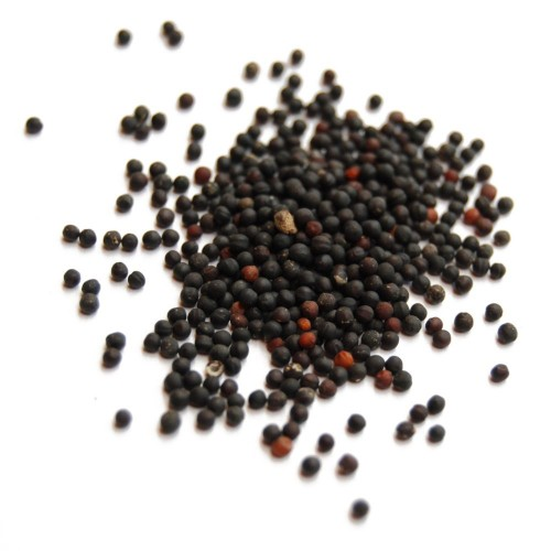 Wangbuliuxing as alternative method for ear acupuncture